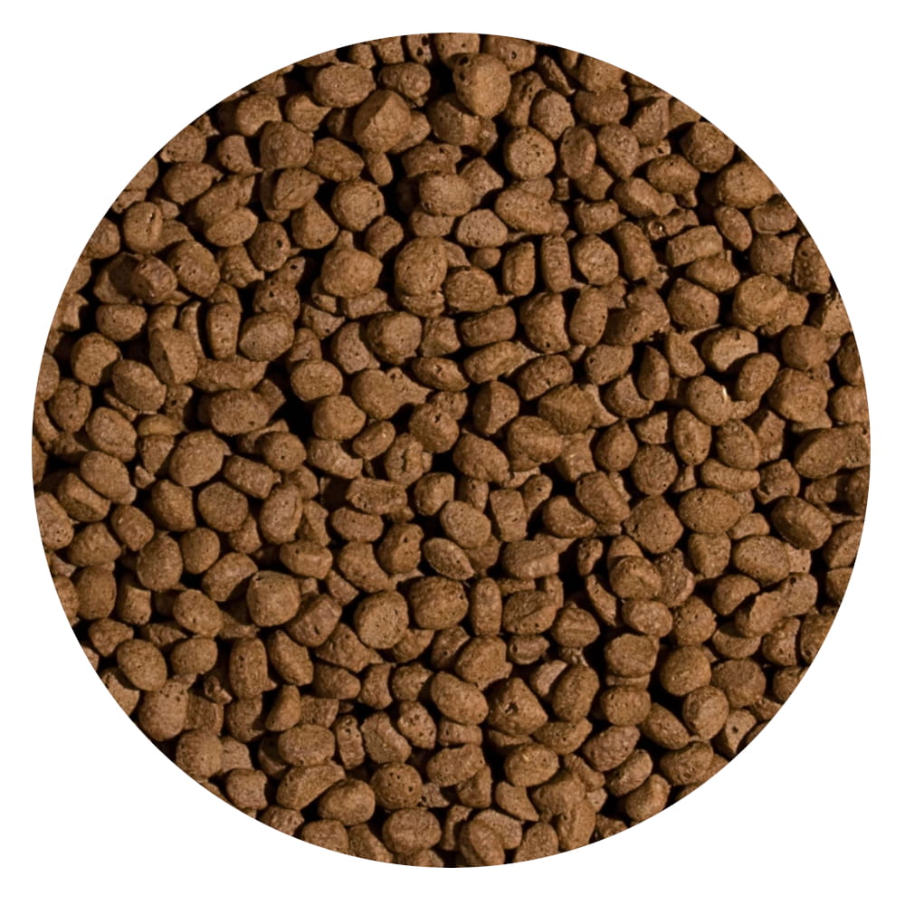 Koi Wheat Germ&Garlic Pellet m .jpg